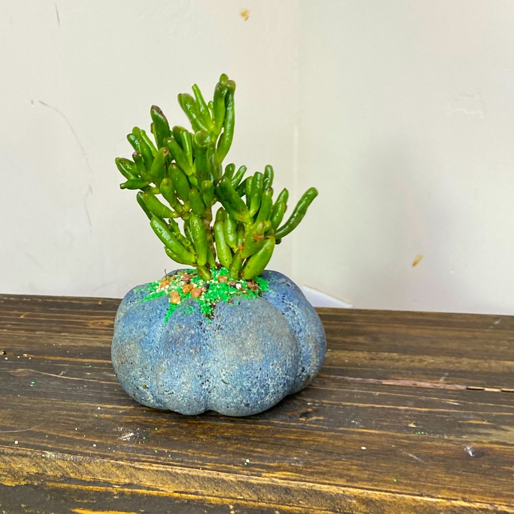 PUMKIN / PLANTER - Handmade Home Decor